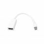 Adaptador de MINI DPP-M a DVI