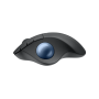 Mouse Trackball Inalámbrico Logitech ERGO M575S - Bluetooth + Logi Bolt - Grafito